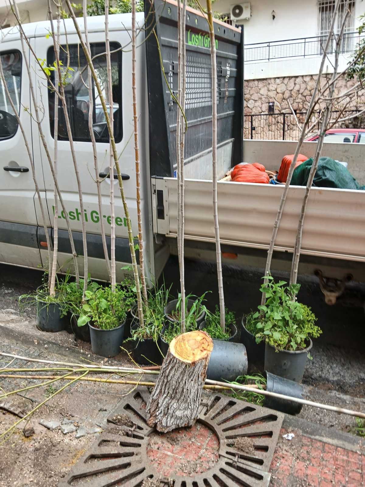 Ενισχύεται το πράσινο στον Δήμο Ζωγράφου με 100 νέα δέντρα στη λεωφόρο Γρηγορ. Κουσίδη