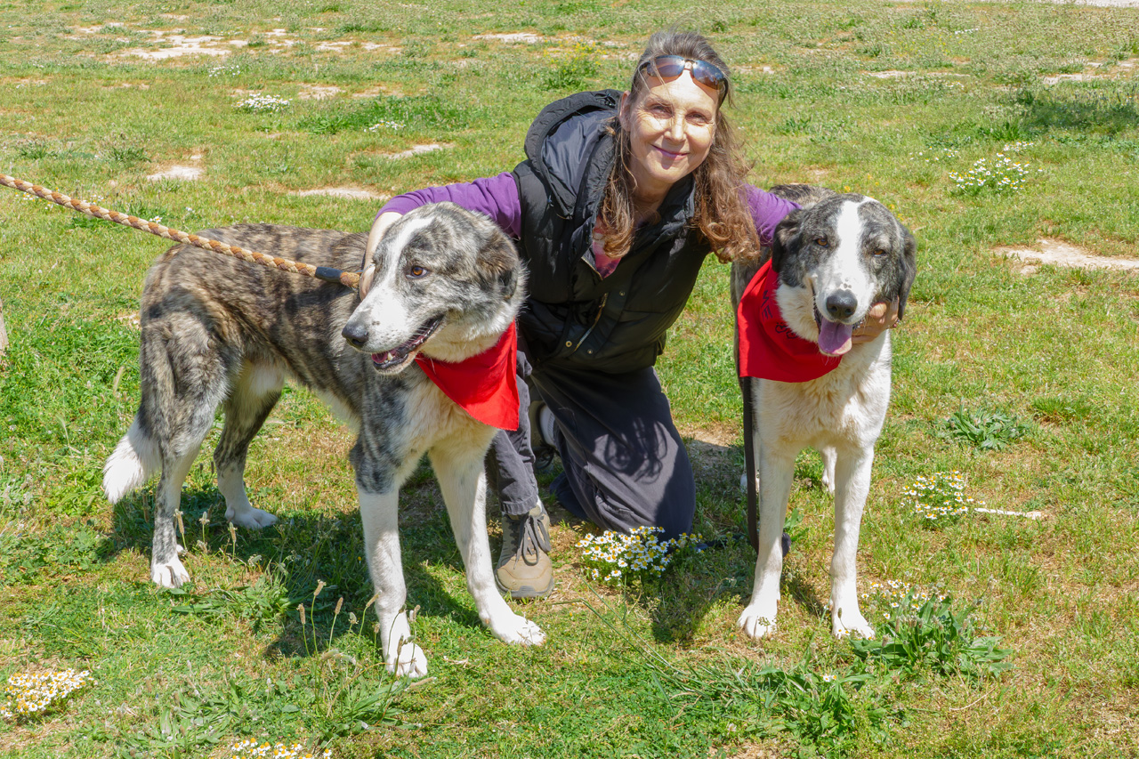 Νοιάζομαι και Φροντίζω»: Ένα διήμερο αγάπης και δράσης για τα αδέσποτα στον Δήμο Ζωγράφου